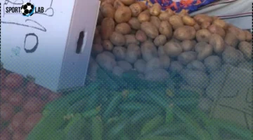 أسعار الطماطم تصل لـ5 جنيهات والليمون تتخطى 20 في الوادي الجديد اليوم